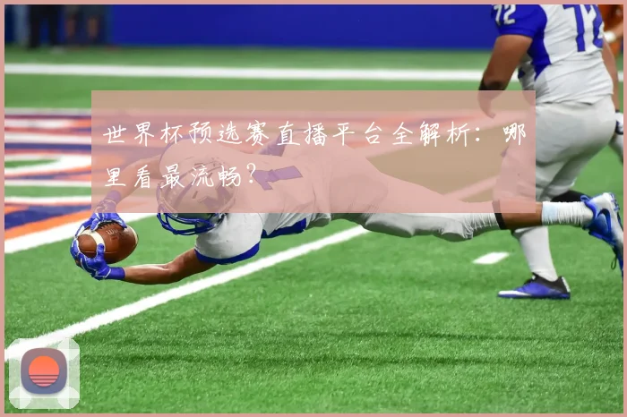 世界杯预选赛直播平台全解析：哪里看最流畅？