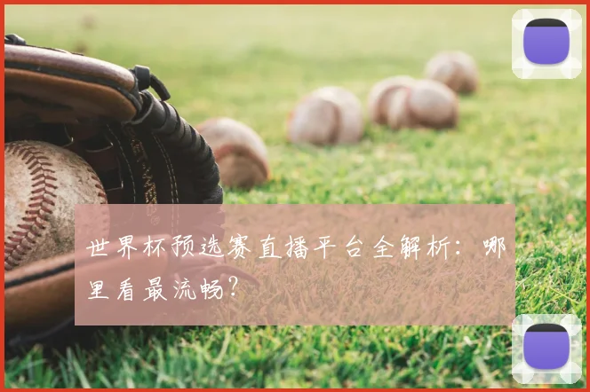 世界杯预选赛直播平台全解析:哪里看最流畅?