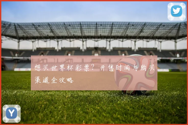 想买世界杯彩票？开售时间与购买渠道全攻略