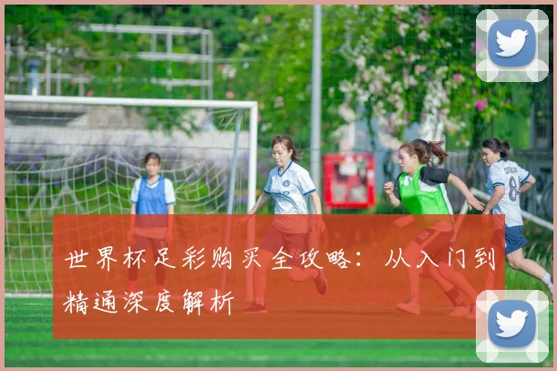 世界杯足彩购买全攻略：从入门到精通深度解析