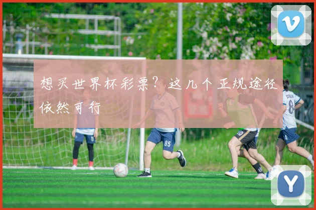 想买世界杯彩票？这几个正规途径依然可行