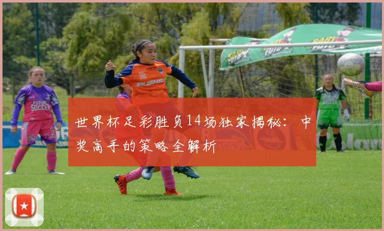 世界杯足彩胜负14场独家揭秘:中奖高手的策略全解析