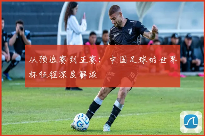 从预选赛到正赛：中国足球的世界杯征程深度解读