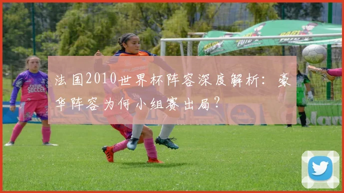 法国2010世界杯阵容深度解析：豪华阵容为何小组赛出局？
